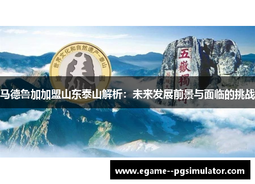 马德鲁加加盟山东泰山解析：未来发展前景与面临的挑战