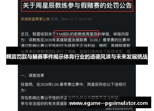 魏震罚款与禁赛事件揭示体育行业的道德风波与未来发展挑战