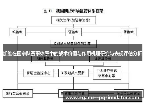 加维在国家队赛事体系中的战术价值与作用机理研究与表现评估分析